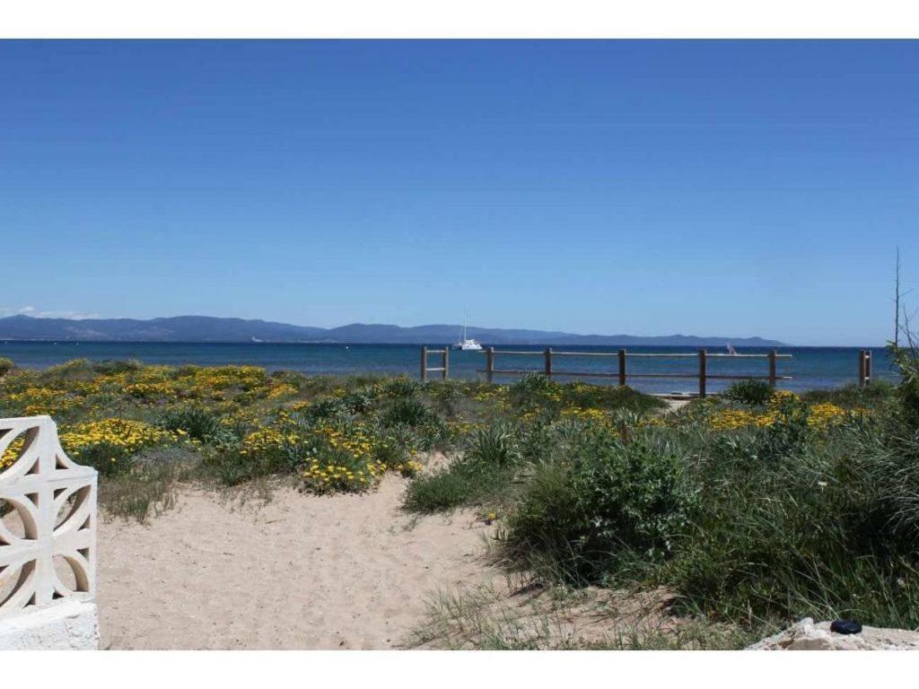 Studio Surequipe Les Pieds Dans L'Eau Hyeres Ngoại thất bức ảnh